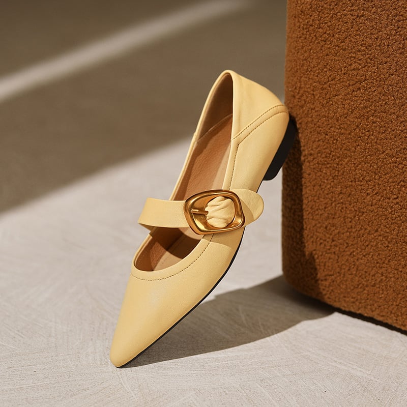 Lynsie Pointy Toe Block Heels Mary Jane Flats
