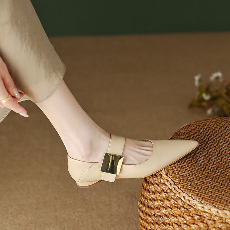 Jackalyn Pointy Toe Block Heels Mary Jane Shoes