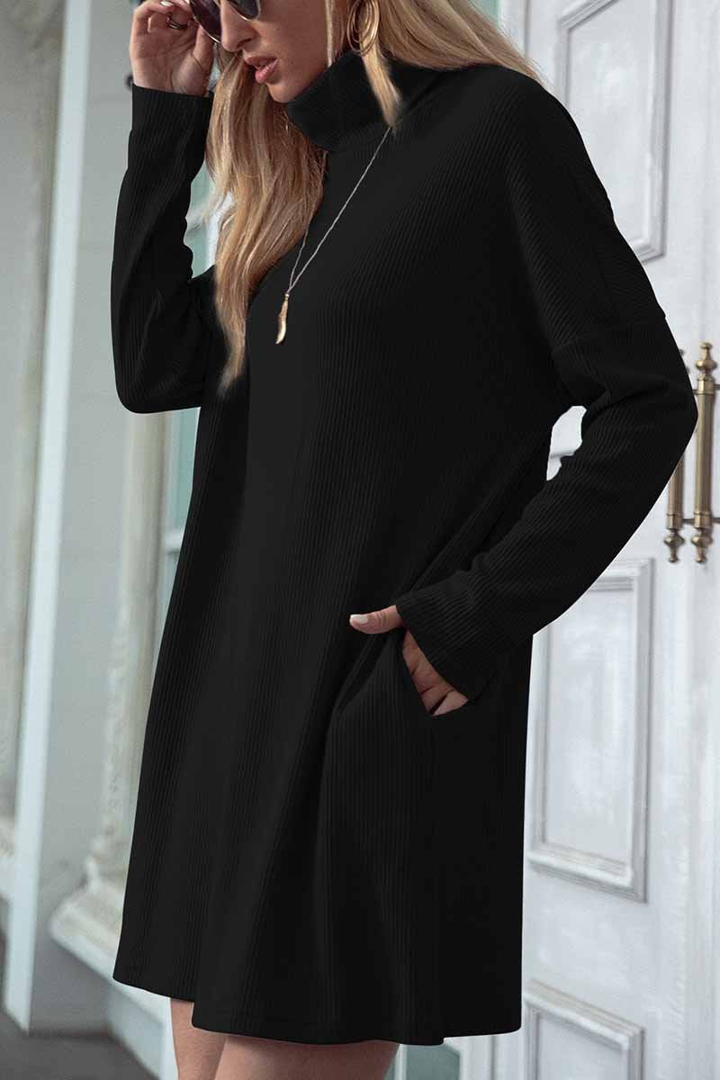 Solid Color Round Neck Dress(4 Colors)