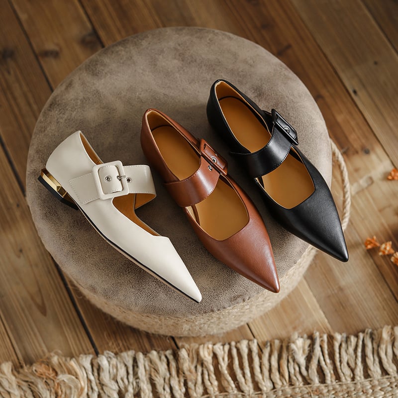 Lechsinska Pointy Toe Block Heels Mary Jane Flats