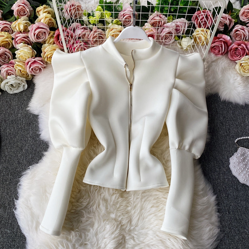 Temperament Puff Sleeve Shirt