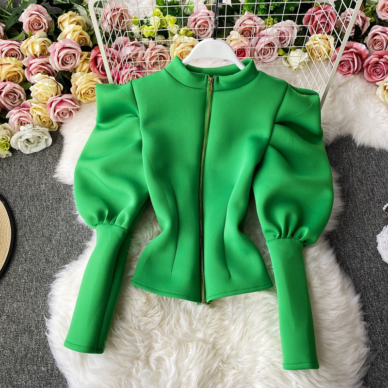 Temperament Puff Sleeve Shirt