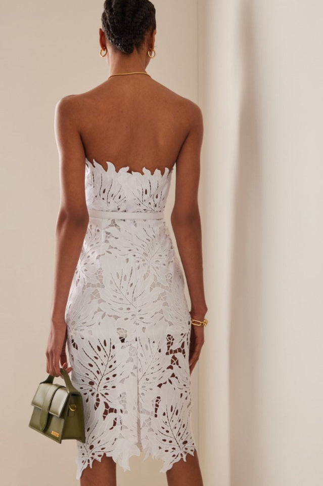 Paulina Lace Midi Dress