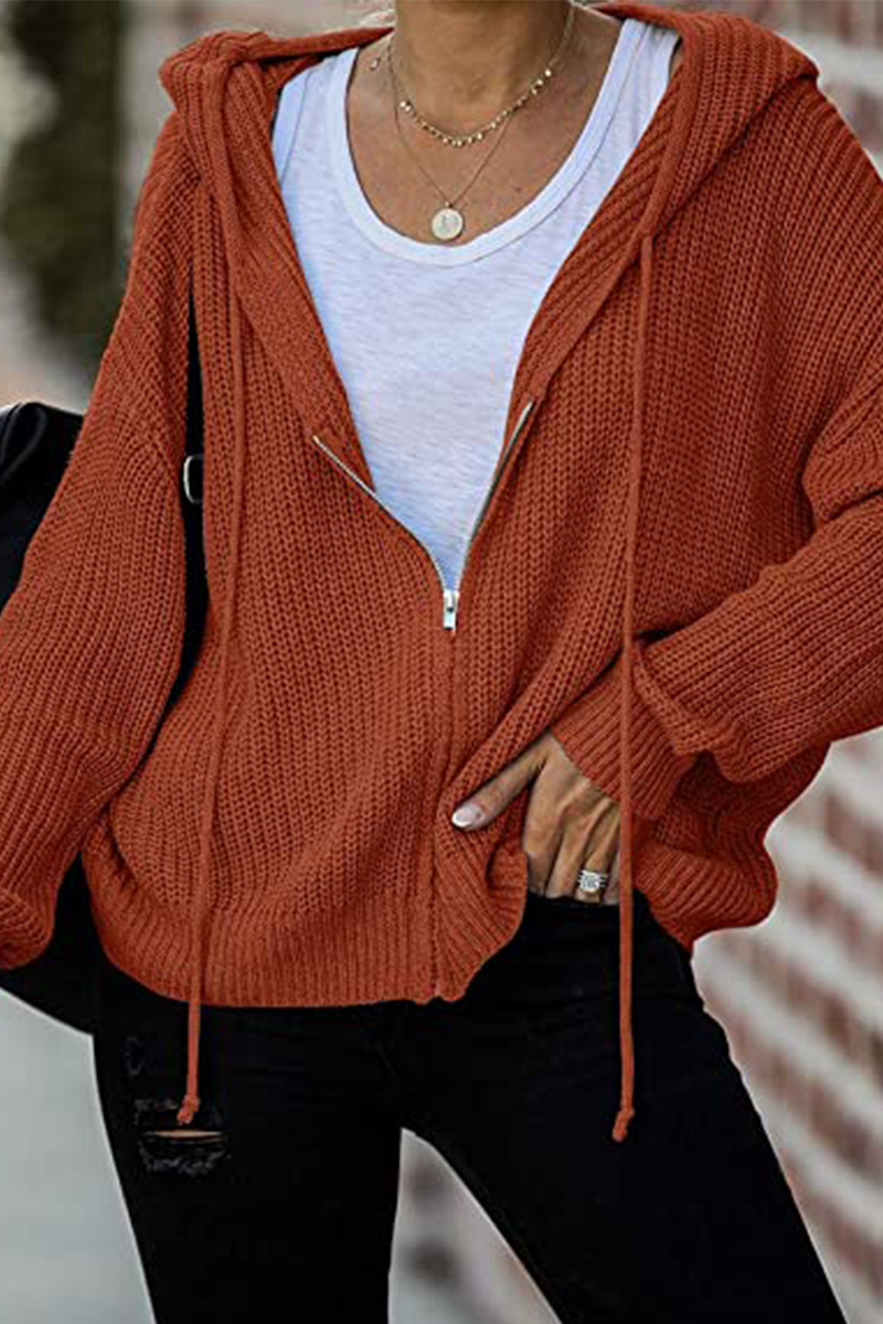 Casual Solid Draw String Zipper Hooded Collar Sweaters(5 colors)