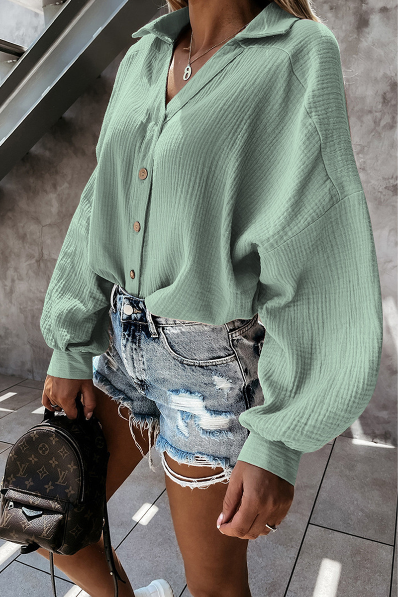 Casual Solid Buckle Turndown Collar Tops