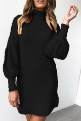 Casual Half A Turtleneck Straight Dresses(4 Colors)