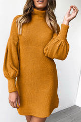 Casual Half A Turtleneck Straight Dresses(4 Colors)