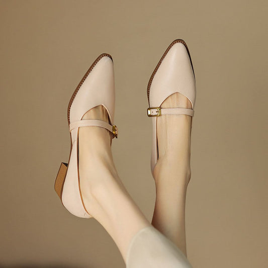Jevette Pointy Toe Block Heels Mary Jane Shoes
