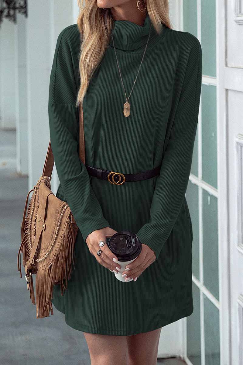 Solid Color Round Neck Dress(4 Colors)