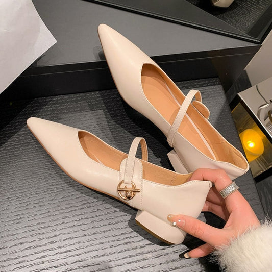 Jayanna Pointy Toe Block Heels Mary Jane Shoes