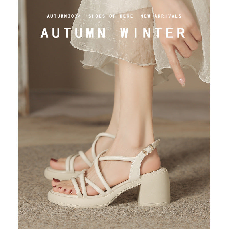 Women's Large Small Size Wedge Chunky Shape Heels