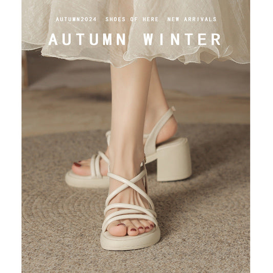 Women's Large Small Size Wedge Chunky Shape Heels