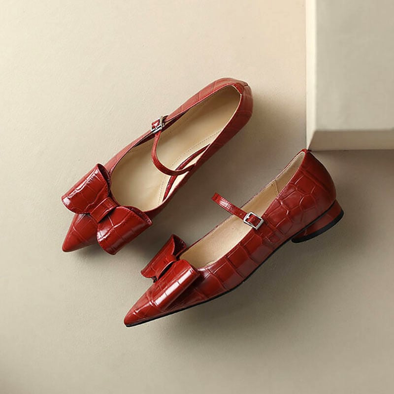 Jacki Pointy Toe Block Heels Mary Jane Shoes