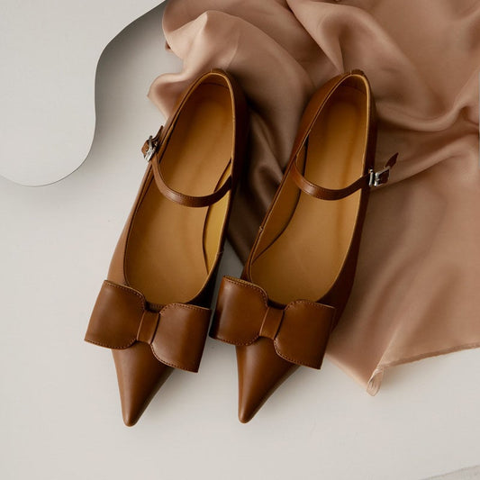 Sonya Pointy Toe Block Heels Mary Jane Shoes