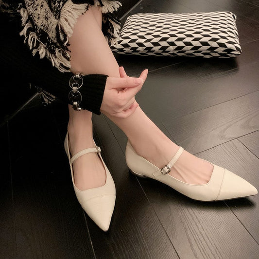 Damonica Pointy Toe Block Heels Mary Jane Shoes