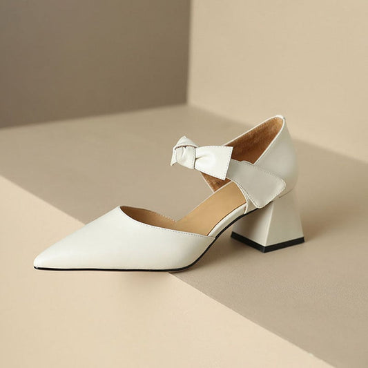 Jacqulin Pointy Toe Block Heels Mary Jane Shoes