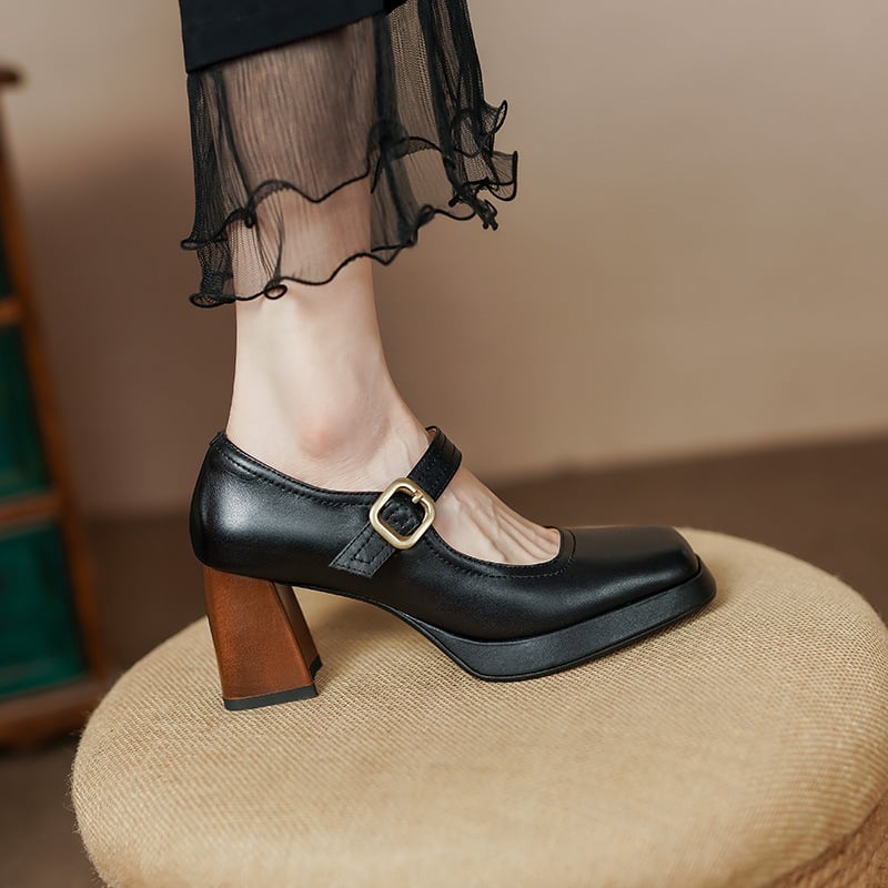 Lurdes Square Toe Block Heels Mary Jane Shoes